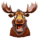 Användarens profilbild